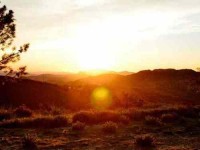 2 Days Camping, Hiking, and Yoga Retreat in California