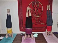 29 Days Ashtanga Yoga Retreat Thailand
