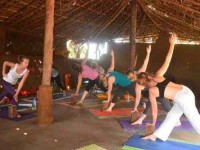 8 Days Yoga Retreat in India