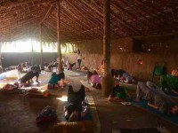 8 Days Yoga Retreat in India