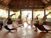 8 Days Yoga & Ayurveda Retreat in Kerala, India