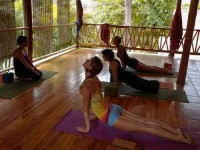 8 Days Budget Yoga Retreat in Costa Rica