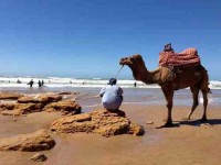 8 Days Tamraght Surf and Yoga Camp Morocco