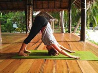 14 Days Healthy Living Yoga Retreat in Thailand