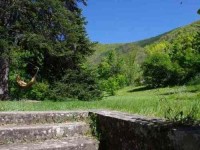 6 Days Meditation and Yoga Retreat in France