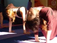 23 Days Level 1 Yoga TTC in Bali
