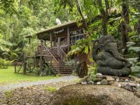 4 Days Yoga Retreat in Daintree Rainforest, Australia