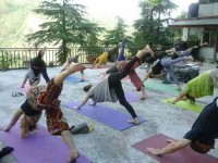 14 Days Wellness Yoga Retreat in Dharamsala, India