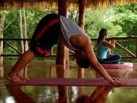 6 Days Yoga & Relaxing in Nature Retreat in Costa Rica