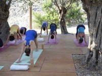 8 Days Hatha Flow Yoga Retreat Greece with Frederica