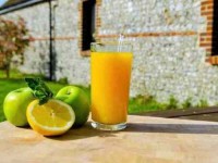 5 Days Juice Detox and Yoga Retreat in the UK