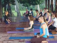 5 Days Ashtanga Vinyasa Yoga Workshop in Bali