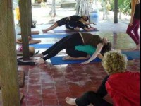 5 Days Ashtanga Vinyasa Yoga Workshop in Bali