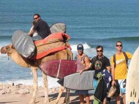 8 Days Restorative Yoga and Surf Retreat in Morocco