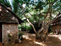 4 Days Short Break Yoga Retreat in Lamu Island, Kenya
