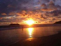 5 Days Wellness, Yoga, & Surf Retreat in Costa Rica