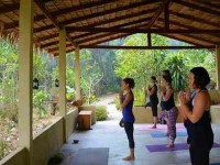 4 Days Mini Yoga & Mandala Drawing in Ranong, Thailand