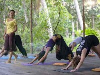 12 Days Yoga Therapy Certification in Koh Phangan