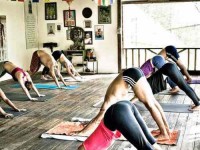 5 Days Yoga Retreat in Koh Phangan, Thailand