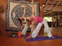 37 Days 300-Hour Yoga Teacher Training in Thailand
