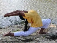 Two Weeks Beginner Yoga Vacation in Tamil Nadu, India