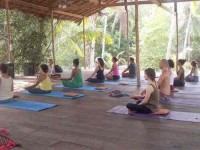 6 Days Yoga and Pure Life Holiday in Thailand