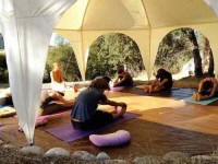 8 Days Personal Yoga Retreat in California, USA