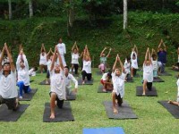 8 Days Yoga Retreat in Ashram Munivara Ubud, Bali