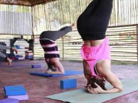 10 Days Relaxing Yoga Holiday in Goa, India