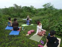 30 Days 300-Hour Ashtanga Yoga Teacher Training India