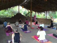8 Days Budget Yoga Retreat in India