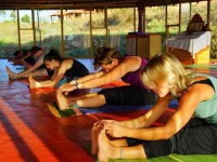 15 Days Beginners Yoga Retreat India