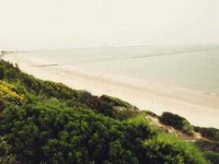 6 Days Beach Meditation & Yoga Retreat in Southern Spain