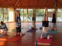 29 Days Advanced 300-Hour Yoga Teacher Training India