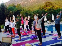28 Days 200-Hour Yoga Teacher Training in Dharamsala, India
