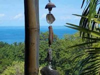 6 Days Cleansing, Detox, and Yoga Retreat in Costa Rica
