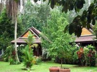 8 Days Anti-Aging and Yoga Retreat Thailand