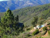 7 Days Ashtanga and Yin Yoga Retreat in Portugal