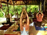 6 Days Yoga, Art, and Meditation in Bali