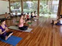 4 Days Yoga Retreats in Santa Teresa, Costa Rica