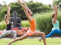 5 Days Meditation and Yoga Retreat in Hawaii