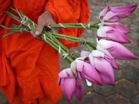 9 Days Myanmar Yoga Retreat