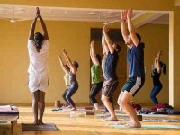 8 weeks 500-Hour Yoga Teacher Training in Rishikesh