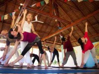 28 Days 200hr Yoga Teacher Training in India for Women