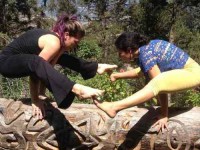5 Days Fun, Art, and Yoga Retreat in Ecuador
