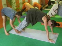 13 Days 100-Hour Yoga Teacher Training in India