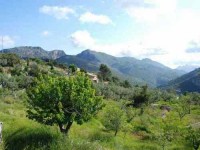 8 Days Mindfulness and Yoga Retreat in Spain