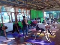 7 Days Beginner Yoga Retreat in Rishikesh, India