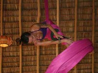 5 Days Wellness Yoga Retreat in Costa Rica