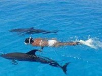 6 Days Dolphin and Yoga Retreat in Bahamas